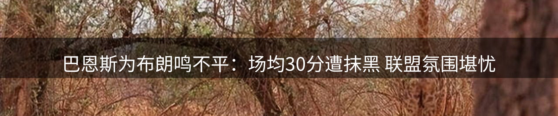 内页banner
